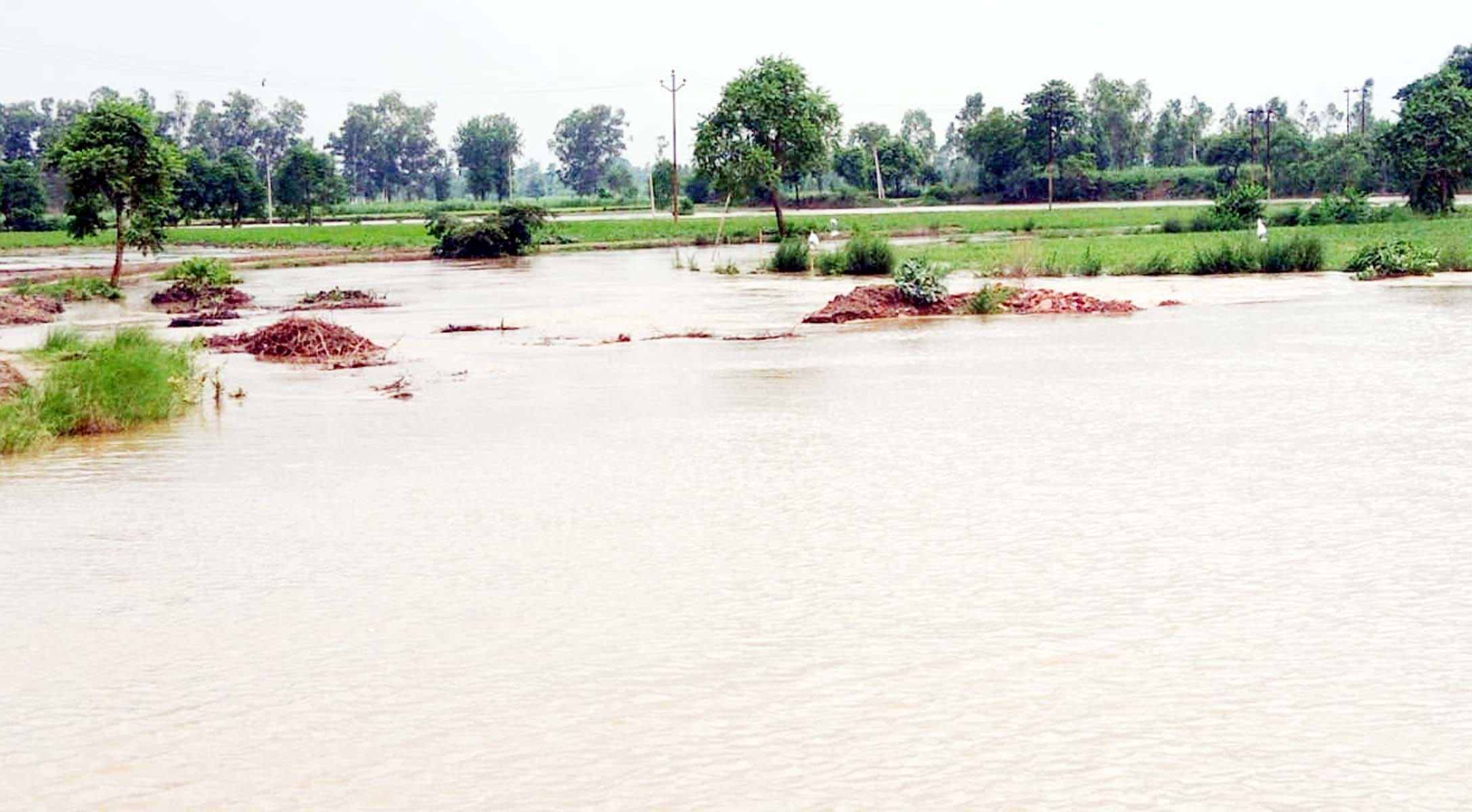 भैंसी नदी के पास डूबा ट्रक और ऊपर खड़ा चालक