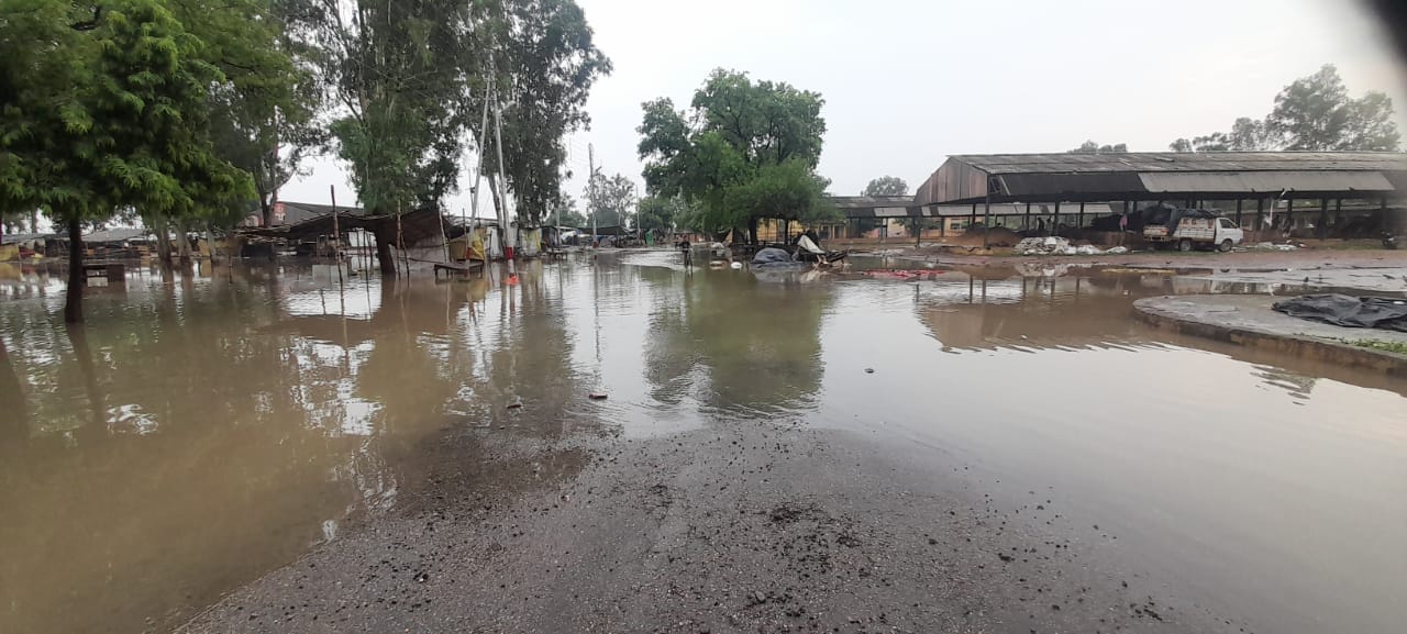 आंवला। अबादानपुर में शमशान भूमि वाली सडक पर भरा बरसात का पानी रोड बनी तालाब