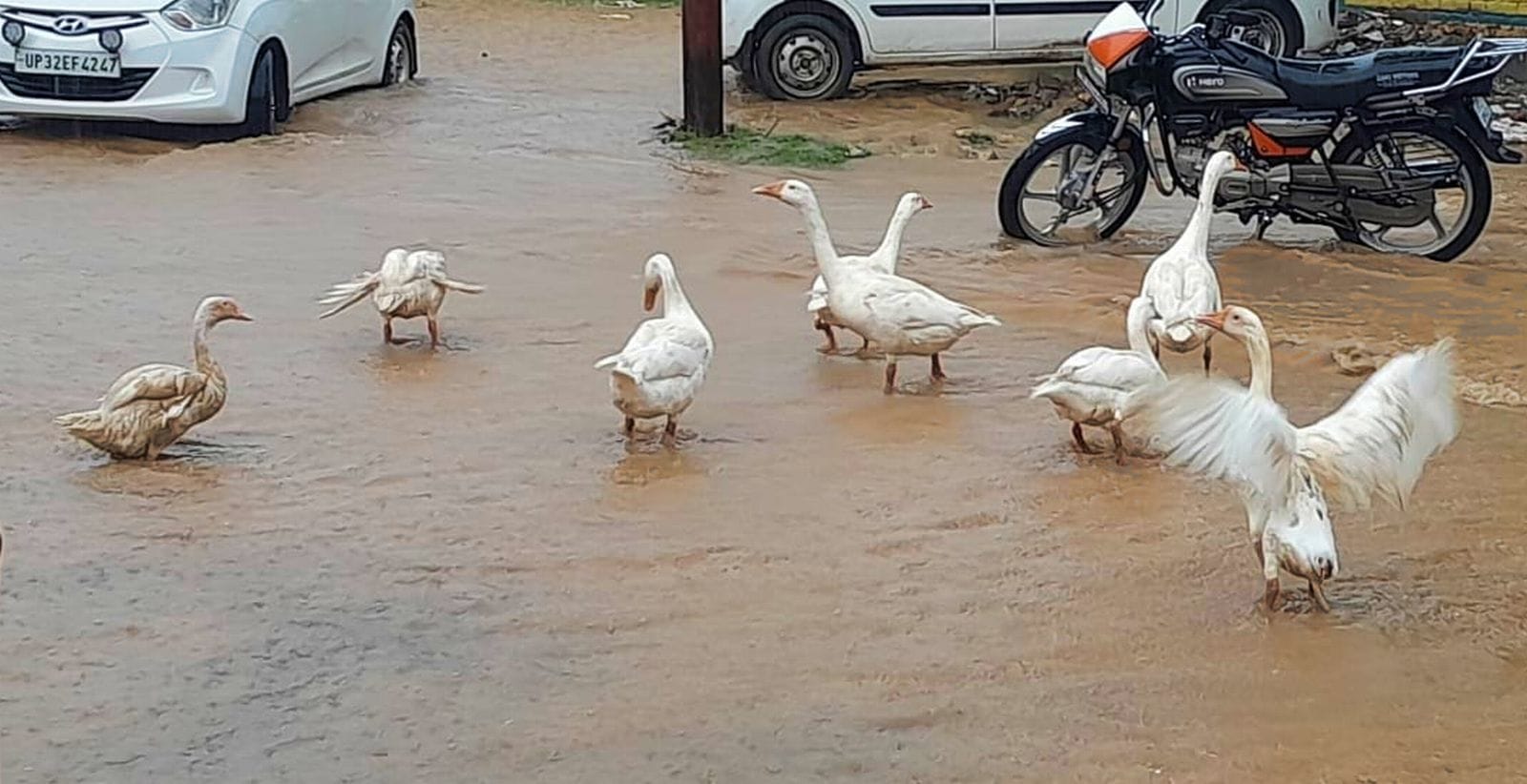 छ:सड़का पर भरा बरसात का पानी।