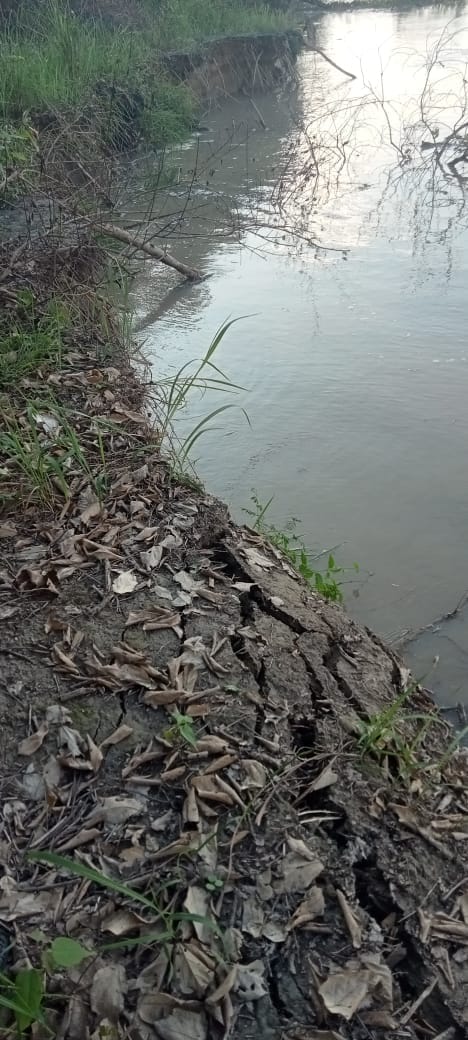 हजारा थाने में संभावित बाढ़ को लेकर प्रधानों की बैठक को संबोधित करते तहसीलदार नारायण यादव। हजारा थाने में संभावित बाढ़ को लेकर प्रधानों की बैठक को संबोधित करते तहसीलदार नारायण यादव।