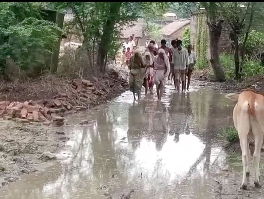 पलिया के मझौरा गांव में बारिश से हुआ जलभराव। पलिया के मझौरा गांव में बारिश से हुआ जलभराव।