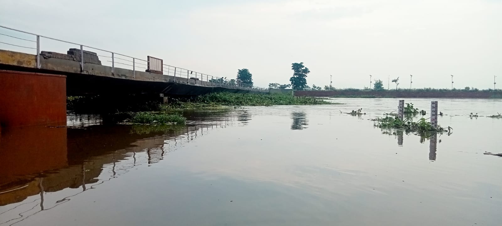 छपार में हाईवे पर खड़े गोवंश, जिनसे बाइक टकराई