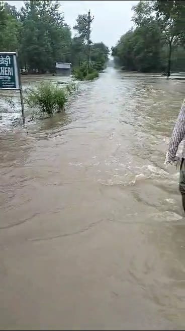 बेहट क्षेत्र में यमुना में आया पानी का उफान बेहट क्षेत्र में यमुना में आया पानी का उफान