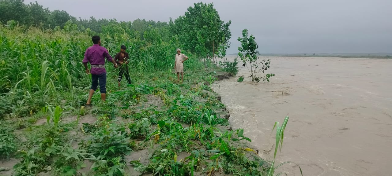 बेहट क्षेत्र में यमुना में आया पानी का उफान बेहट क्षेत्र में यमुना में आया पानी का उफान