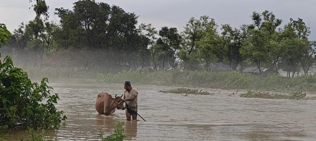 मेहरुवाला में रेस्क्यू आपरेशन के दौरान टीम सदस्य बच्चों समेत लोगों को बाहर निकालते हुए मेहरुवाला में रेस्क्यू आपरेशन के दौरान टीम सदस्य बच्चों समेत लोगों को बाहर निकालते हुए
