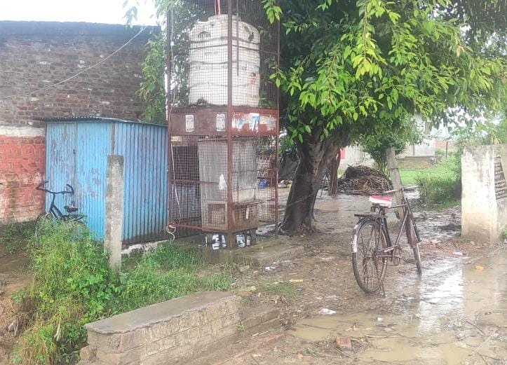 मृतक शानू कोहली का फाइल फोटो