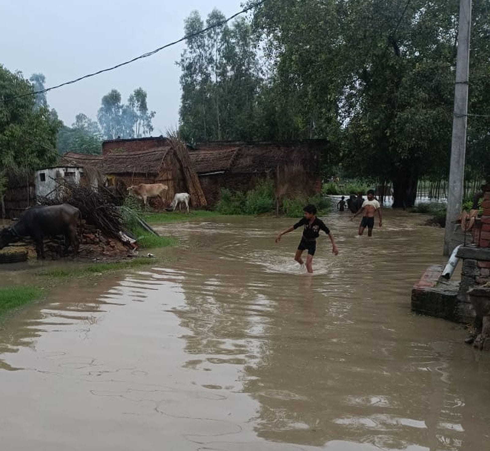 टोंटपुर करसरी के खेतों में भरा पानी