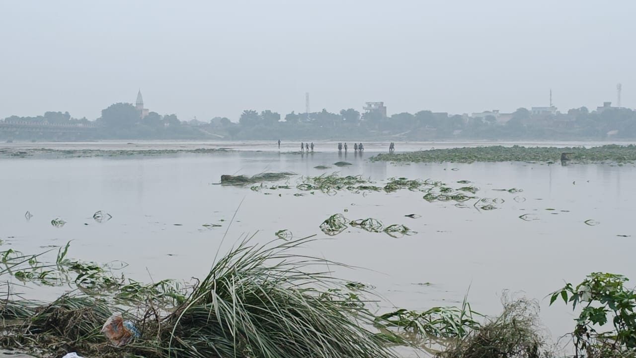 फोटो :39: गांव गढ़ मिरकपुर के पास यमुना का जलस्तर कम होने के बाद खेत में दिखाई दे रही प्रभावित फोटो :39: गांव गढ़ मिरकपुर के पास यमुना का जलस्तर कम होने के बाद खेत में दिखाई दे रही प्रभावित