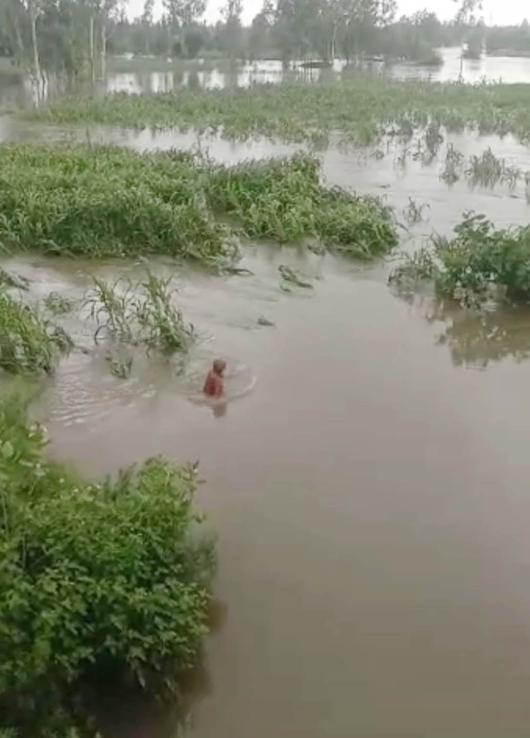 कसौली में हिंडन नदी के तेज बहाव में टूट गई सड़क कसौली में हिंडन नदी के तेज बहाव में टूट गई सड़क