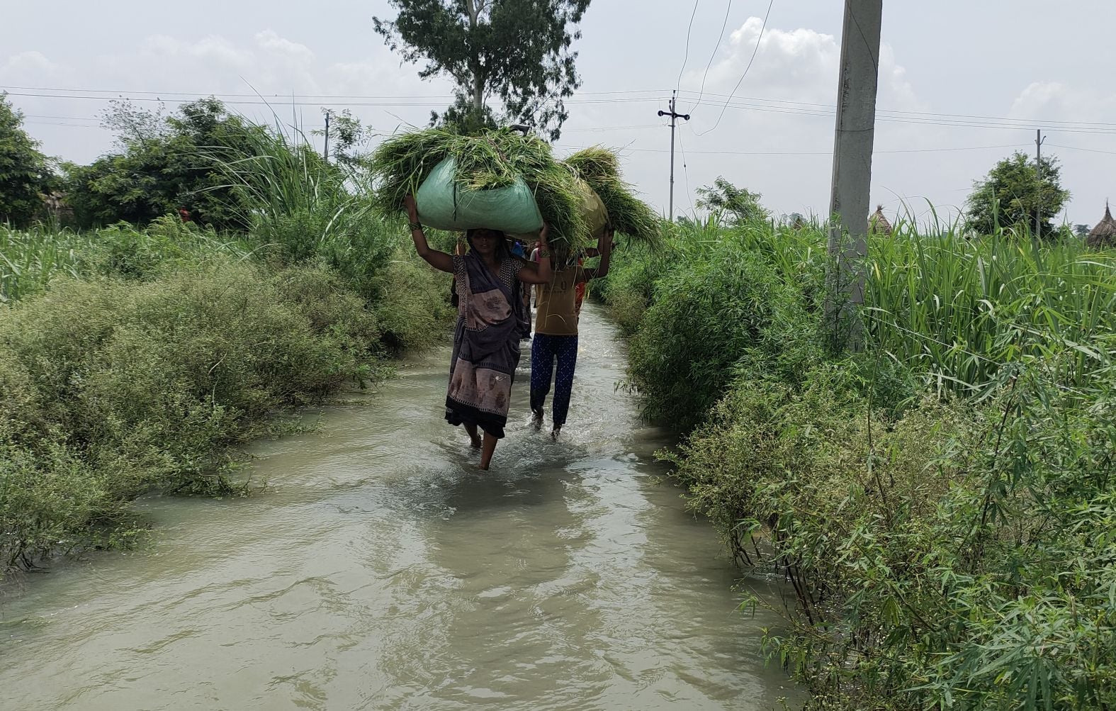फोटो- 11, शमशाबाद-शाहजहांपुर मुख्य मार्ग पर भरा वाढ का पानी। संवाद फोटो- 11, शमशाबाद-शाहजहांपुर मुख्य मार्ग पर भरा वाढ का पानी। संवाद