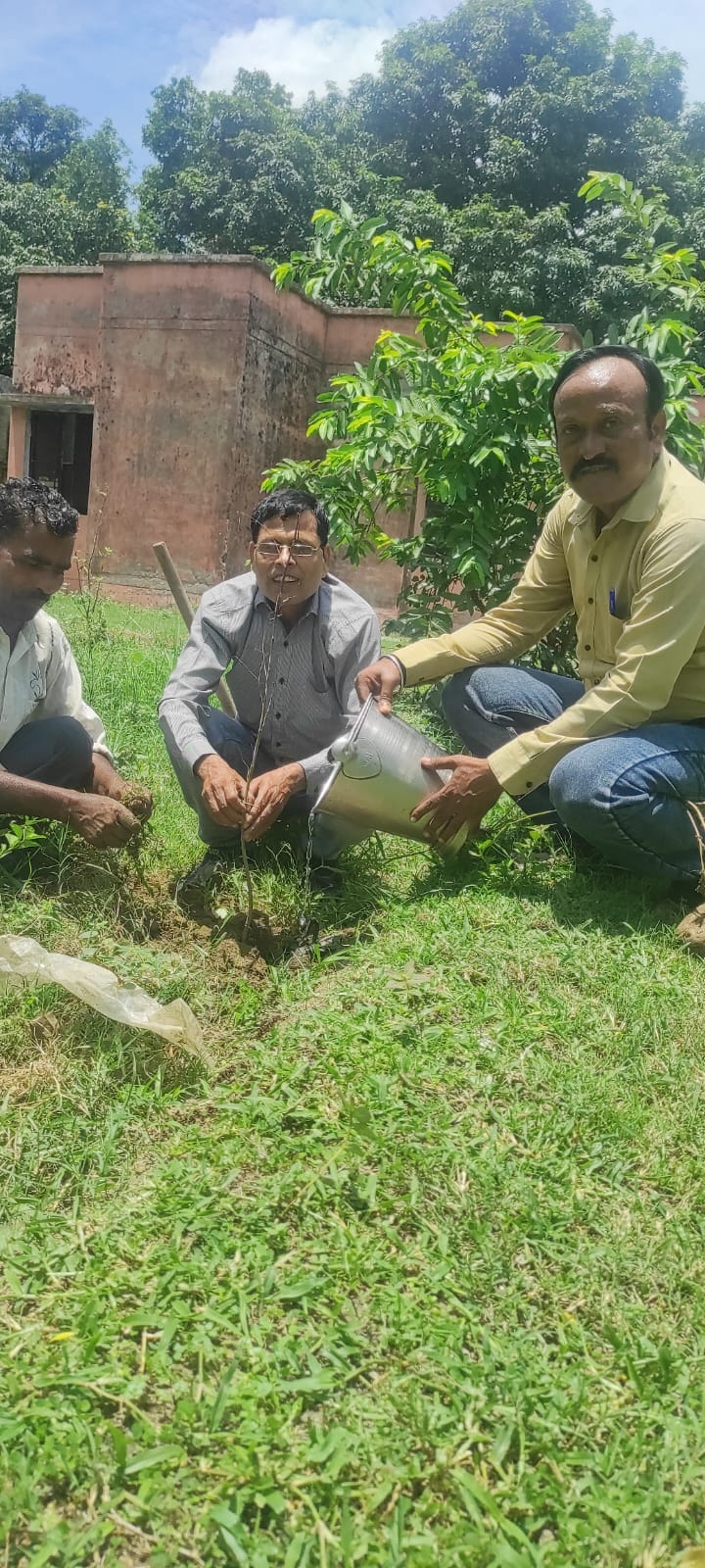 डूमण्ड राजकीय इंटर कॉलेज परिसर में पौंघारोपड के बाद पानी देते राज्यमंत्री अनूप प्रधान । संवाद डूमण्ड राजकीय इंटर कॉलेज परिसर में पौंघारोपड के बाद पानी देते राज्यमंत्री अनूप प्रधान । संवाद
