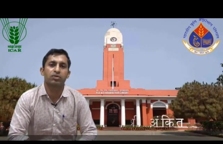 थाना भवन क्षेत्र के गांव कुतुबगढ में गोवंश से बानाई गयी आकर्षक मूर्तियां थाना भवन क्षेत्र के गांव कुतुबगढ में गोवंश से बानाई गयी आकर्षक मूर्तियां