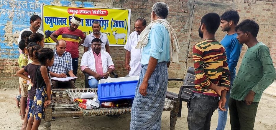 बाढ़ में डूबकर नष्ट हुई मक्का की फसल । संवाद