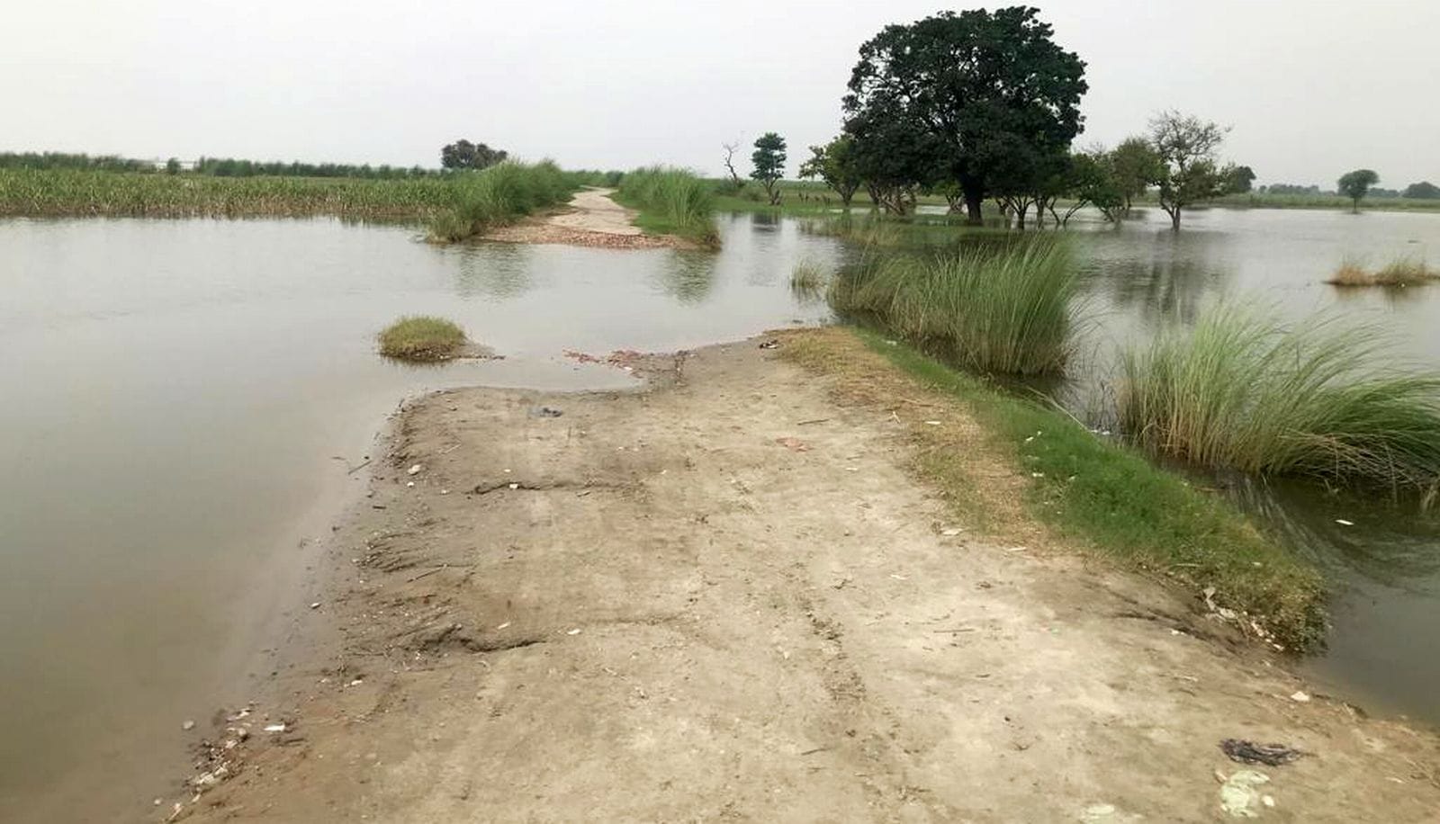 ग्राम सकुर्रा बाढ़ के पानी से क्षतिग्रस्त हुई पुलिया।