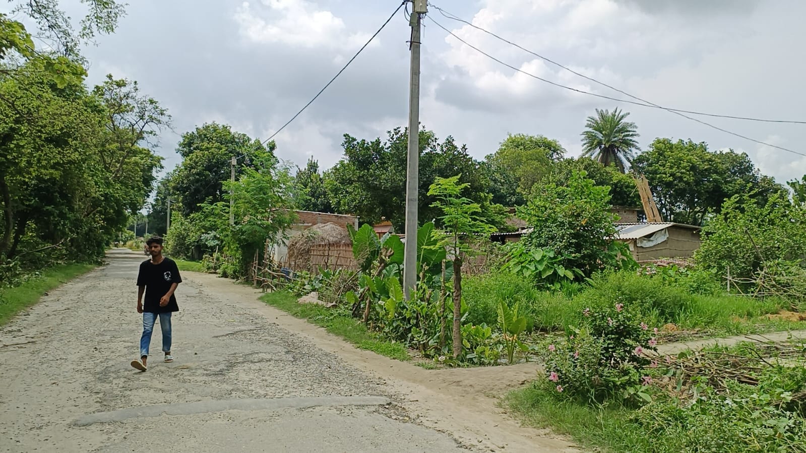 गांव के नजदीक जंगल की साफ कराईं झाड़ियां। संवाद