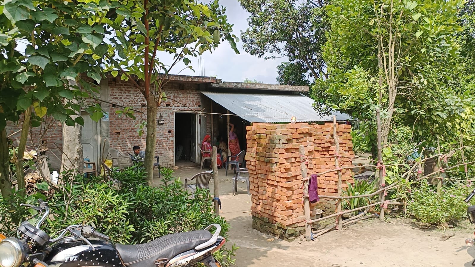 गांव के नजदीक जंगल की साफ कराईं झाड़ियां। संवाद