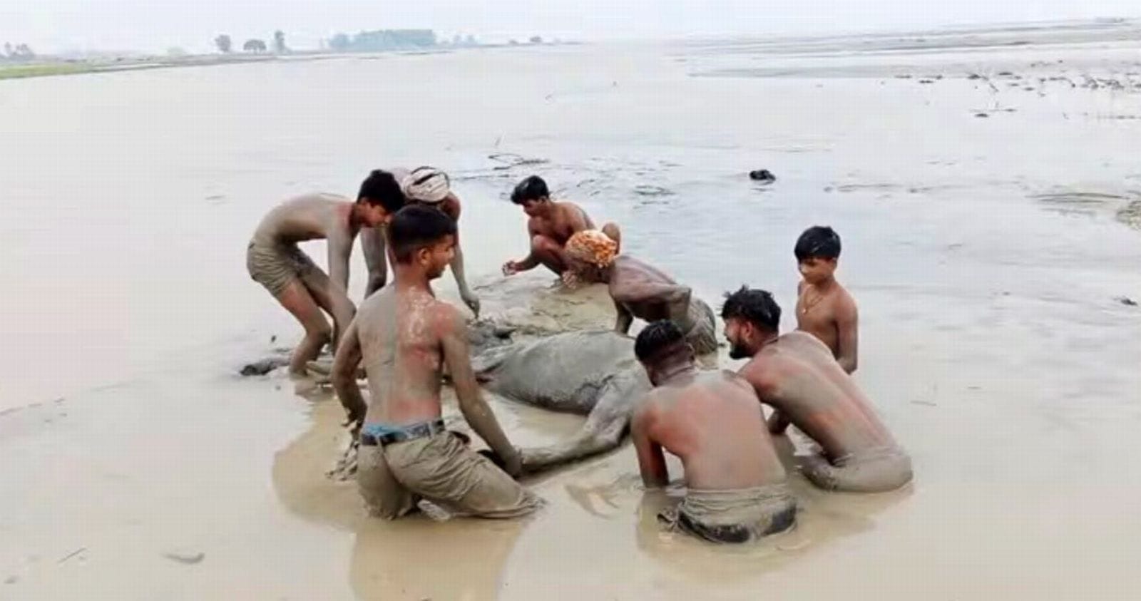 कुंवरपाल, ग्राम सकुर्रा।