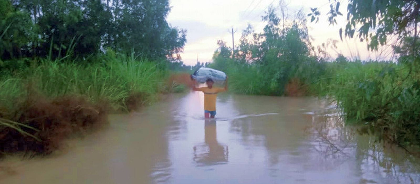 सहसवान क्षेत्र के तोफी नगला में खेतों में भरा बाढ़ पानी ।