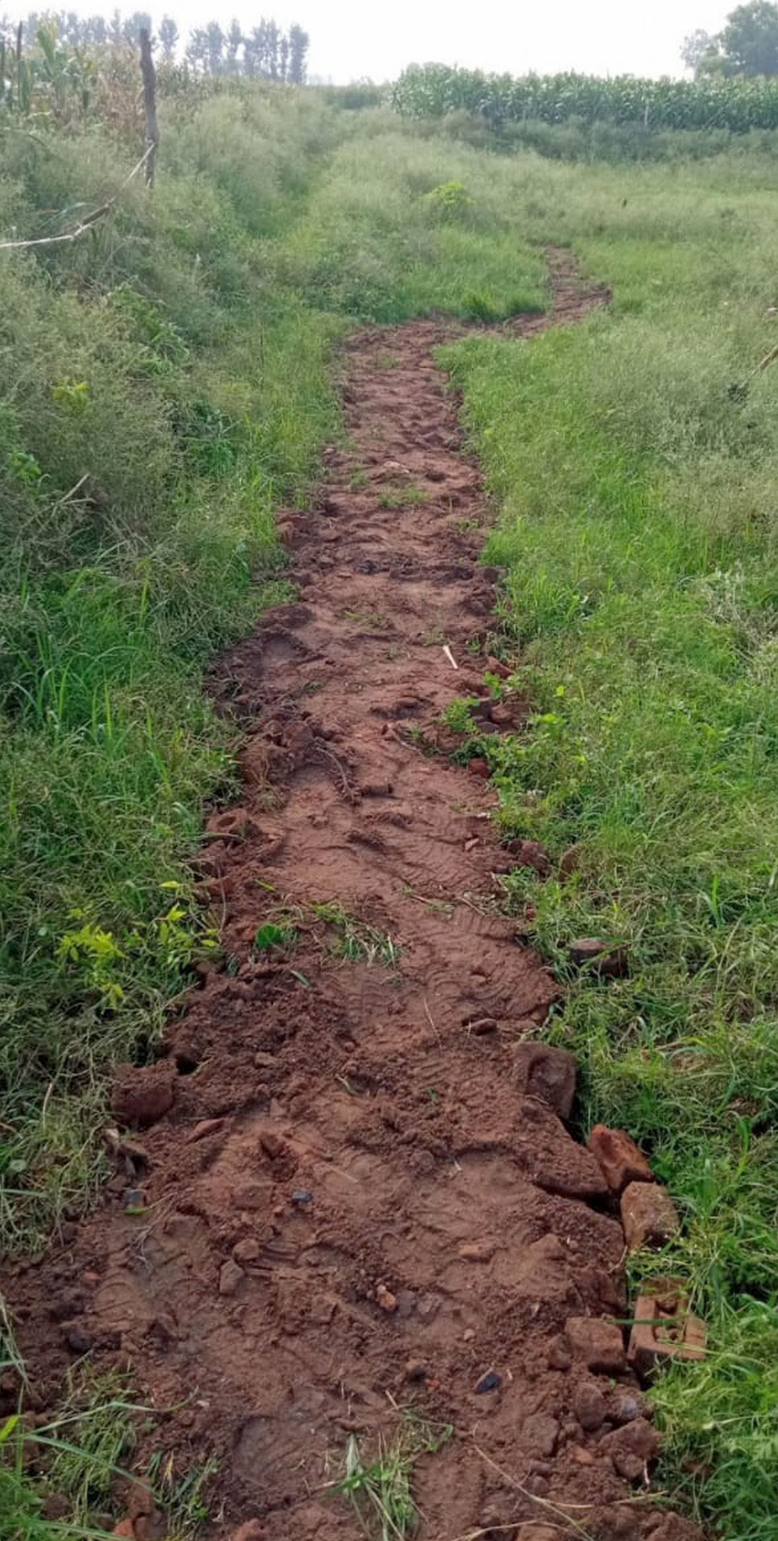 सैदपुर के राजकीय कन्या इंटर कॉलेज के पास स्थित तालाब।