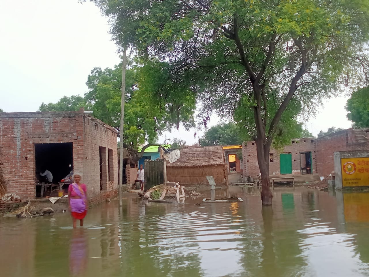 आई फ्लू से पीड़ित आजादनगर निवासी रोगी को दवा दिलवाने बैलगाड़ी से ले जाते परिजन। स्त्रोत: बाढ़ पीड