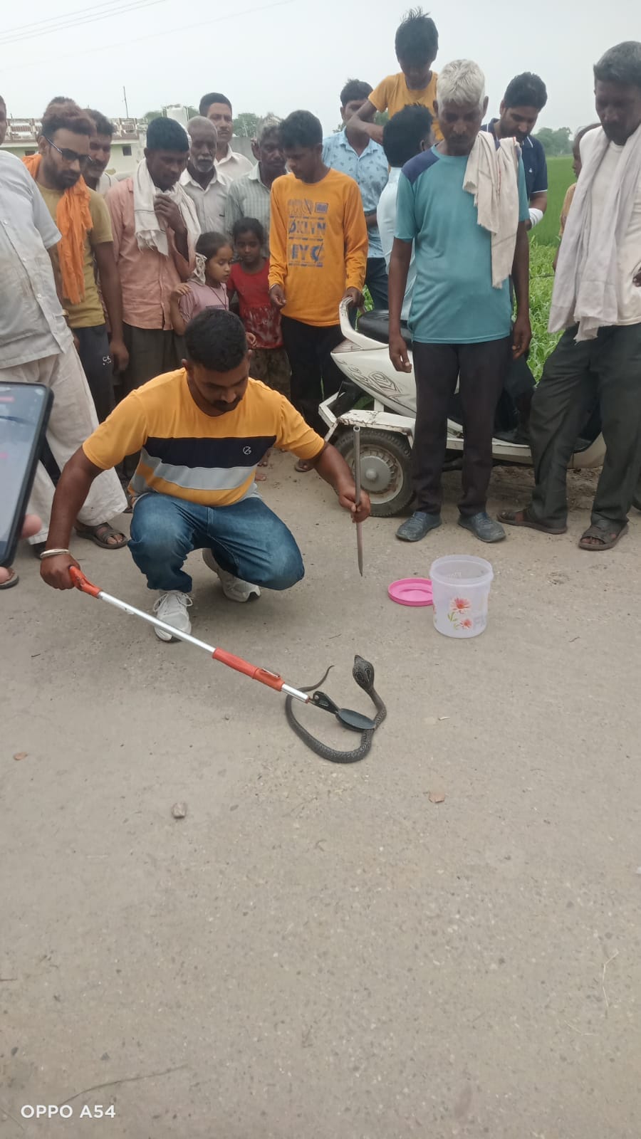 कुरुक्षेत्र। तमन्ना (फाइल फोटो) कुरुक्षेत्र। तमन्ना (फाइल फोटो)