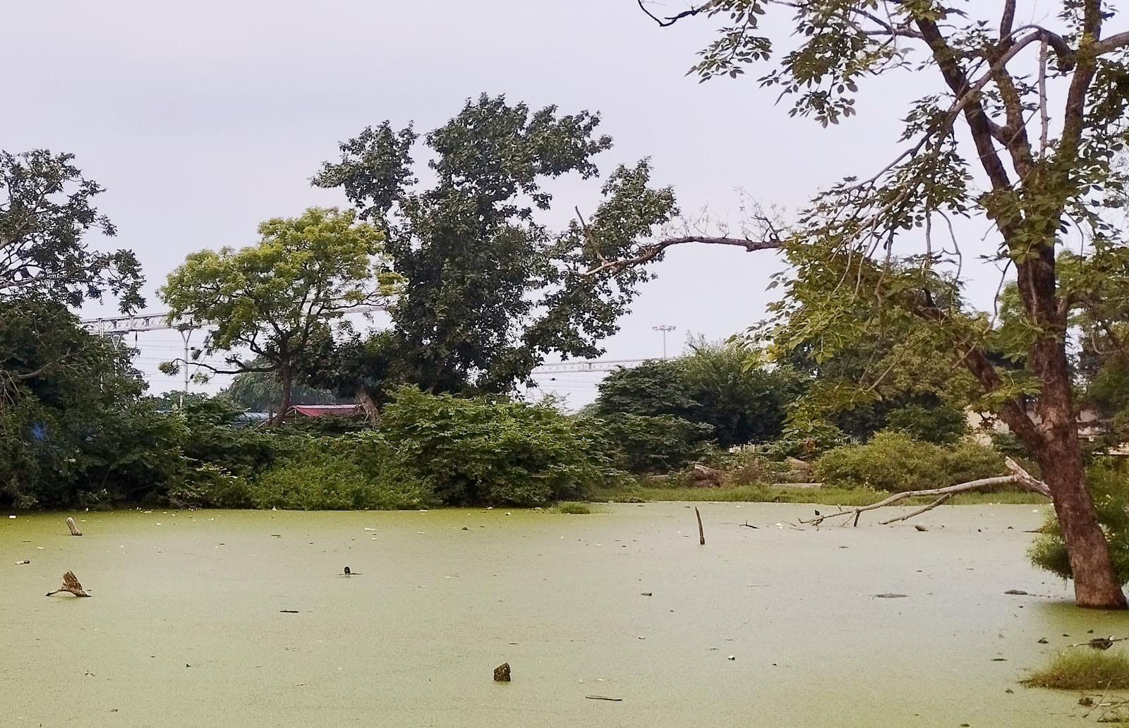 उझानी स्टेशन के प्लेटफार्म के पास खाली पड़ी भूमि पर लगे गंदगी के ढेर। संवाद