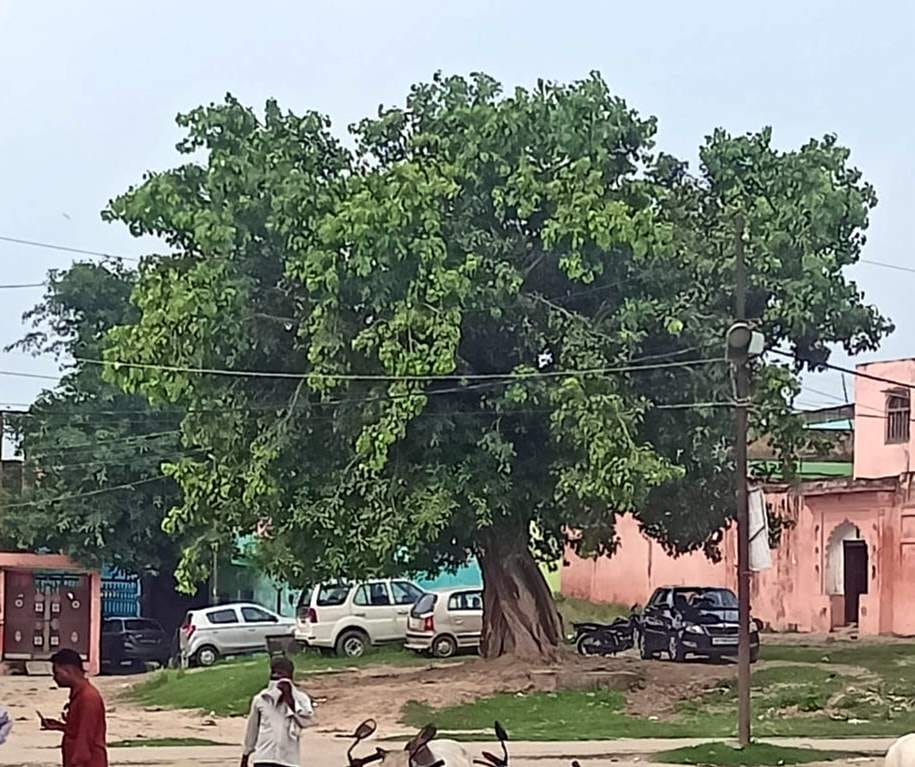 किरन पाठक।