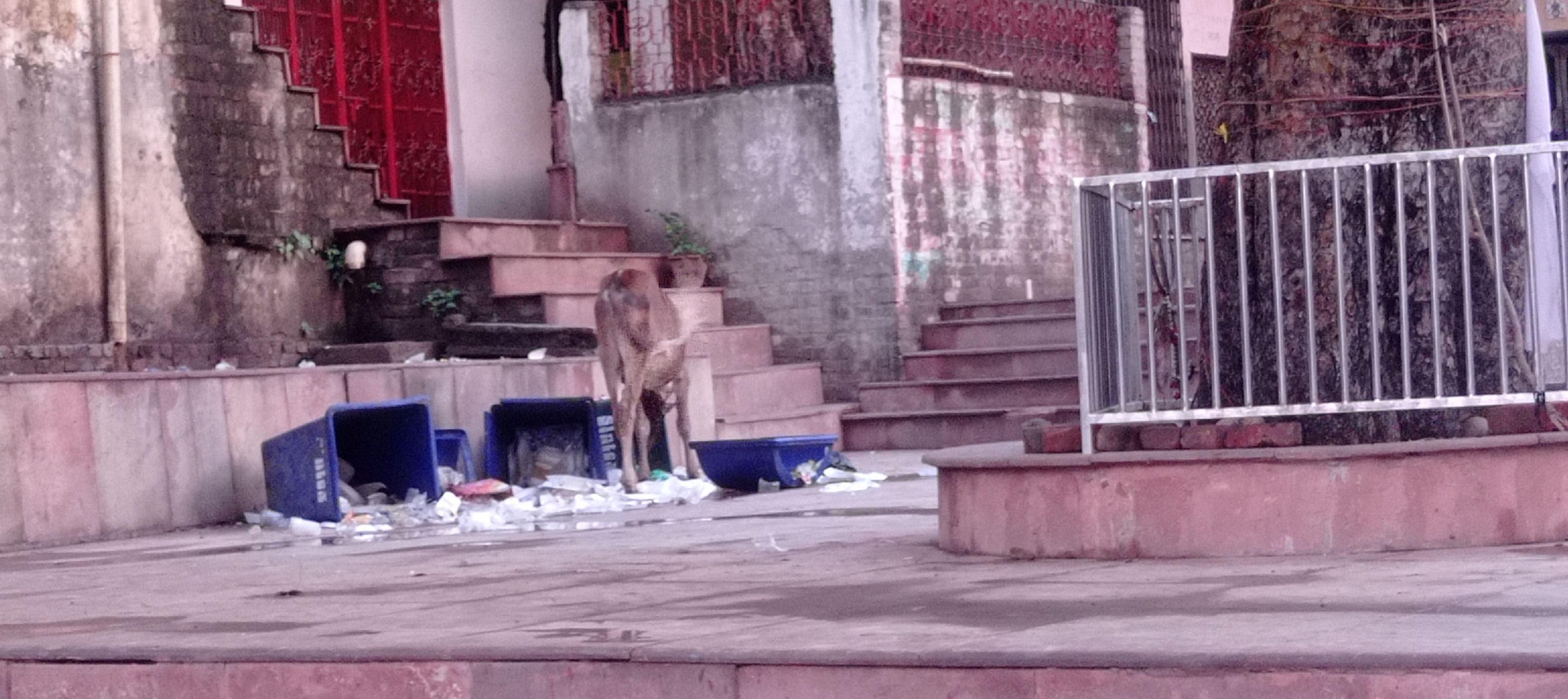 पार्किंग स्थल पर लगे गोबर के ढेर। संवाद