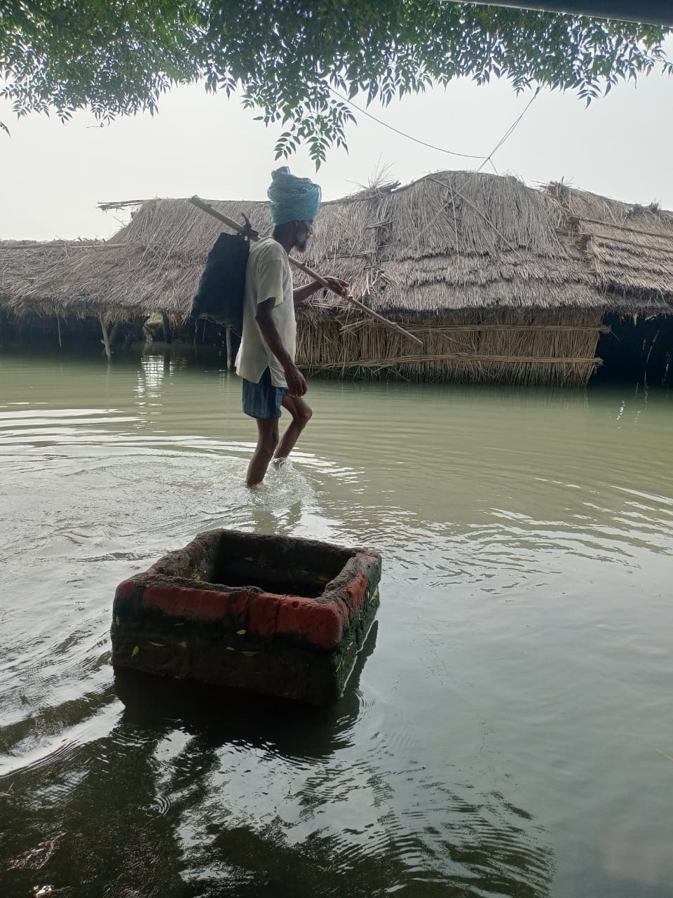 मिर्जापुर बाढ़ में डूबकर नष्ट हुईं खरीफ फसलें। संवाद