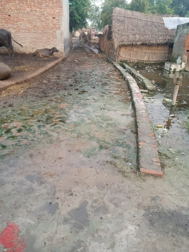 मिर्जापुर के मस्जिद नगला में आई फ्लू से परेशान बाढ़ पीड़ित