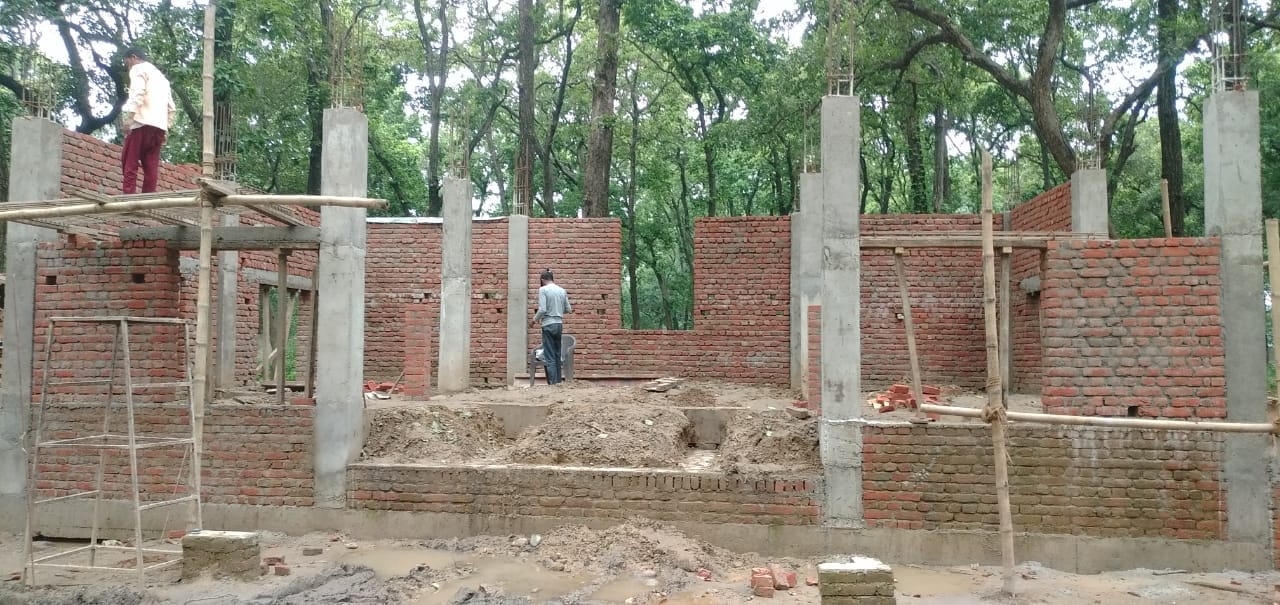 बाघ का फाइल फोटो ।
