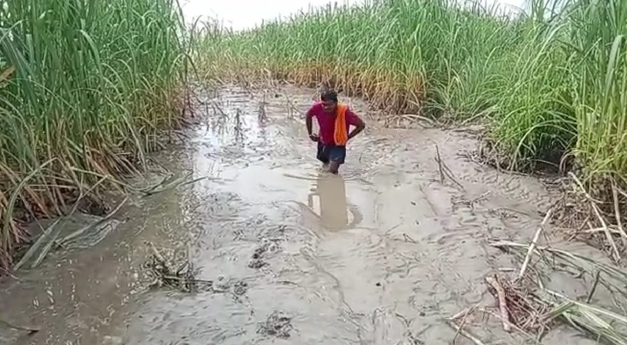 गांव के निचले इलाके के घर में भरा पानी और कीचड़ । संवाद गांव के निचले इलाके के घर में भरा पानी और कीचड़ । संवाद