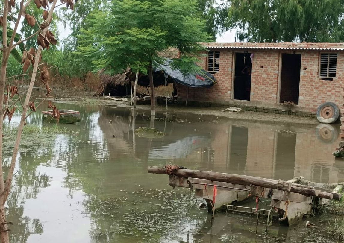 गंगा की बाढ़ से फिर जलमग्न हुआ लोहार नगला। संवाद