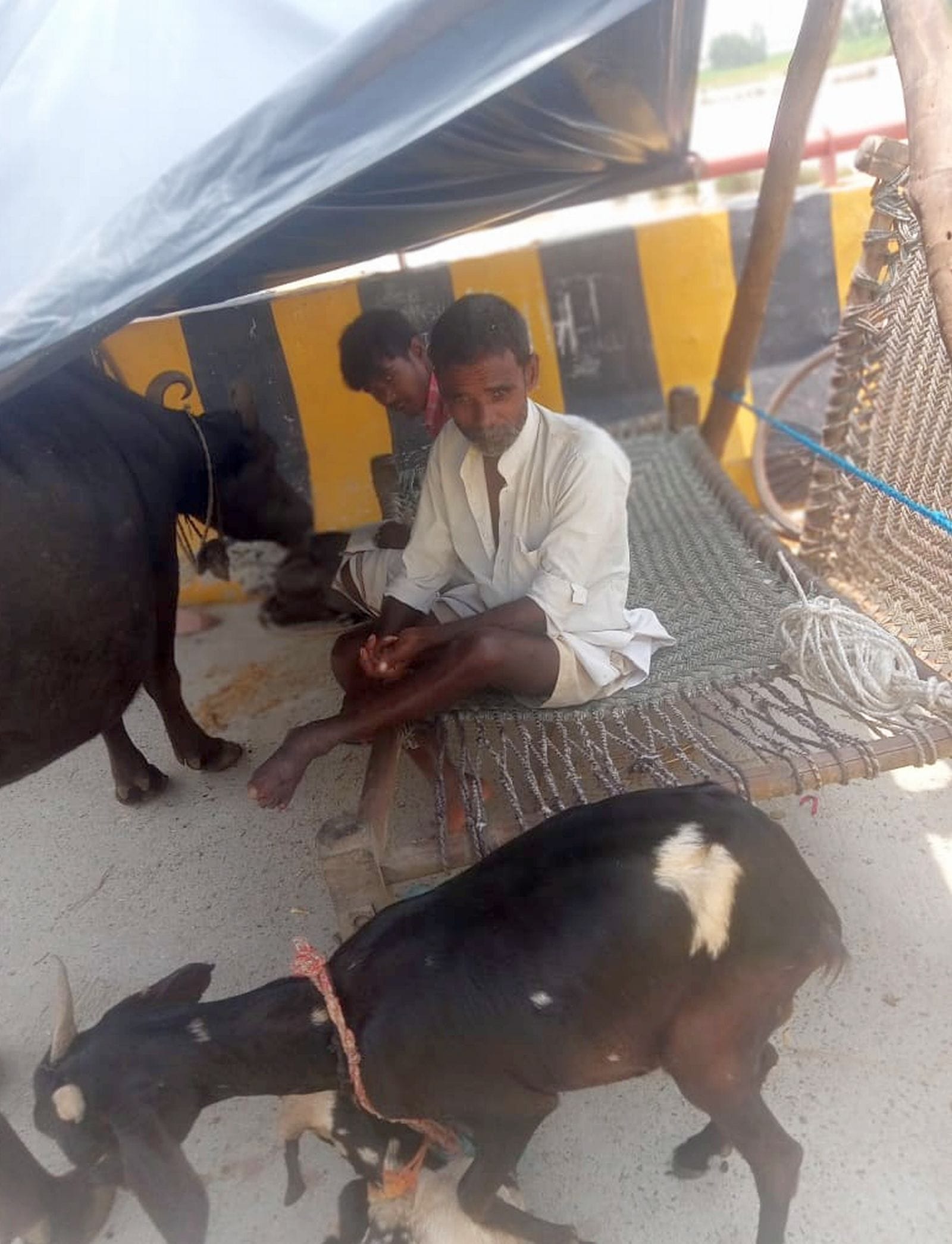 उसहैत के गांव बेहटी में सड़कों पर तंबू लगाकर रह रहे लोग।संवाद