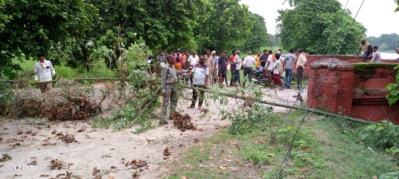 नहर पटरी पर झाड़ियो में छिपे बाघ को देखने को लगी भीड़ । संवाद