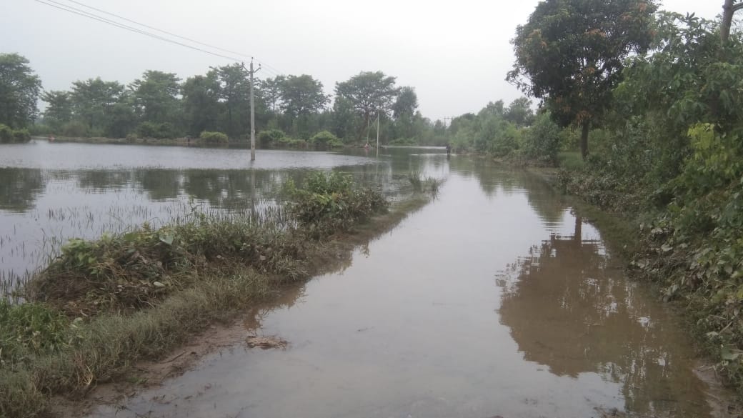 न्यूरिया बंगाली कालोनी में भरतपुर मार्ग पर स्थित मुक्तेश्वर धाम शिव मंदिर की सीडियो तक पहुचा पा