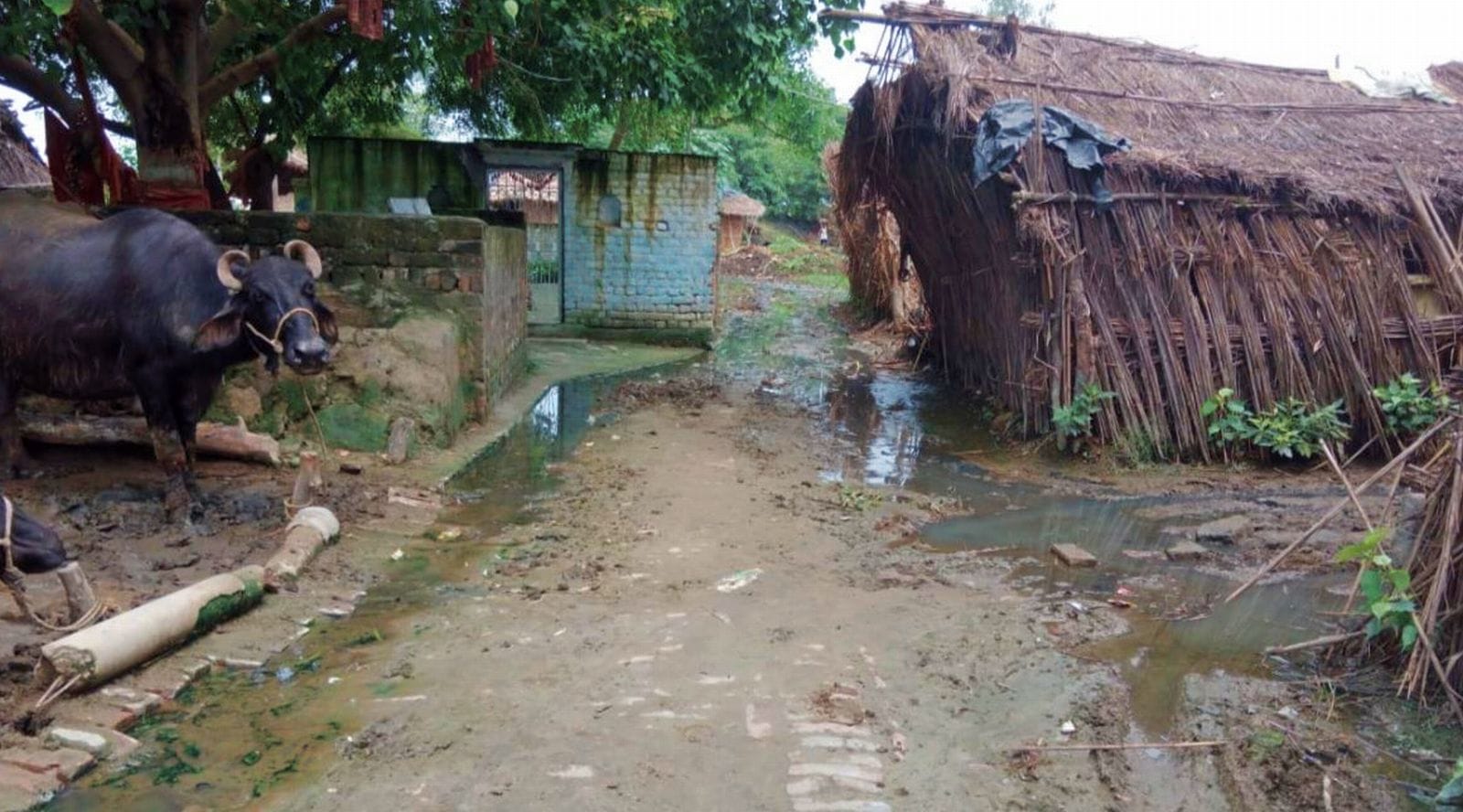 बाढ़ का पानी कम हाने पर गांव भुण्डी में फैली कीचड़। संवाद