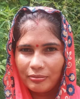 कुरुक्षेत्र। गांव ज्योतिसर में पौधारोपण करती महिलाएं और खंड कार्यक्रम अधिकारी गौरव कुमार। कुरुक्षेत्र। गांव ज्योतिसर में पौधारोपण करती महिलाएं और खंड कार्यक्रम अधिकारी गौरव कुमार।