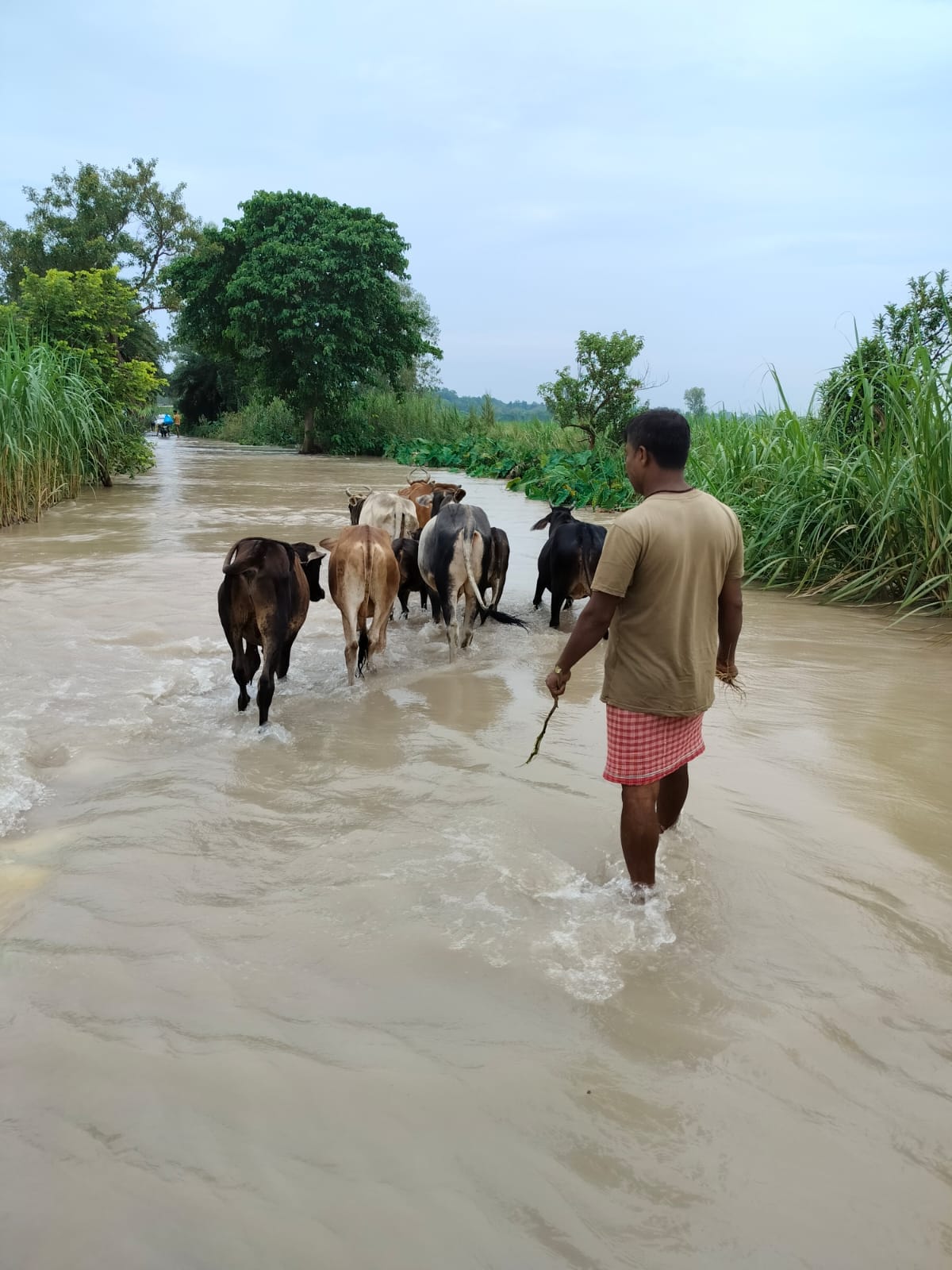 शारदा नदी के उफनाने पर चंदिया हजारा में शाम कोे पानी आने की जानकारी लोगोे को देते एसडीएम । संवा