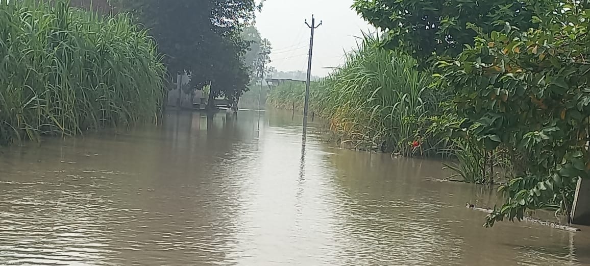 अधिकारियों से बाढ़ की जानकारी लेते जिला पंचायत अध्यक्ष डॉ. वीरपाल निर्वाल। संवाद