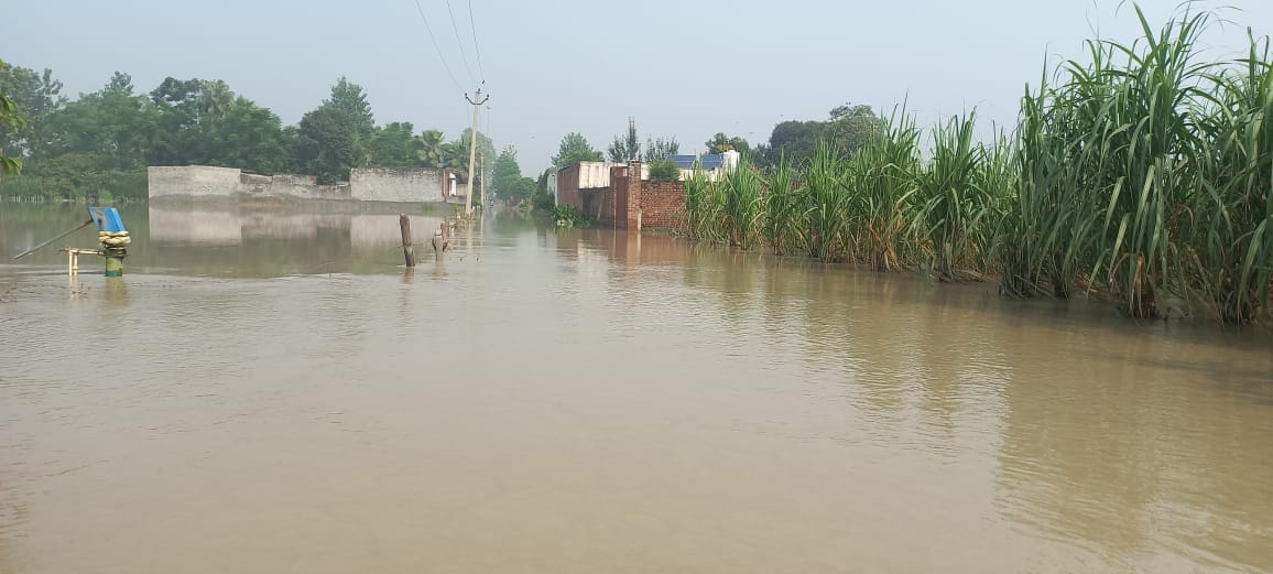 अधिकारियों से बाढ़ की जानकारी लेते जिला पंचायत अध्यक्ष डॉ. वीरपाल निर्वाल। संवाद