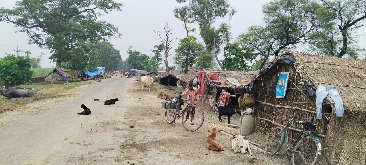 नरहर गाँव मे भरा बाढ़ का पानी