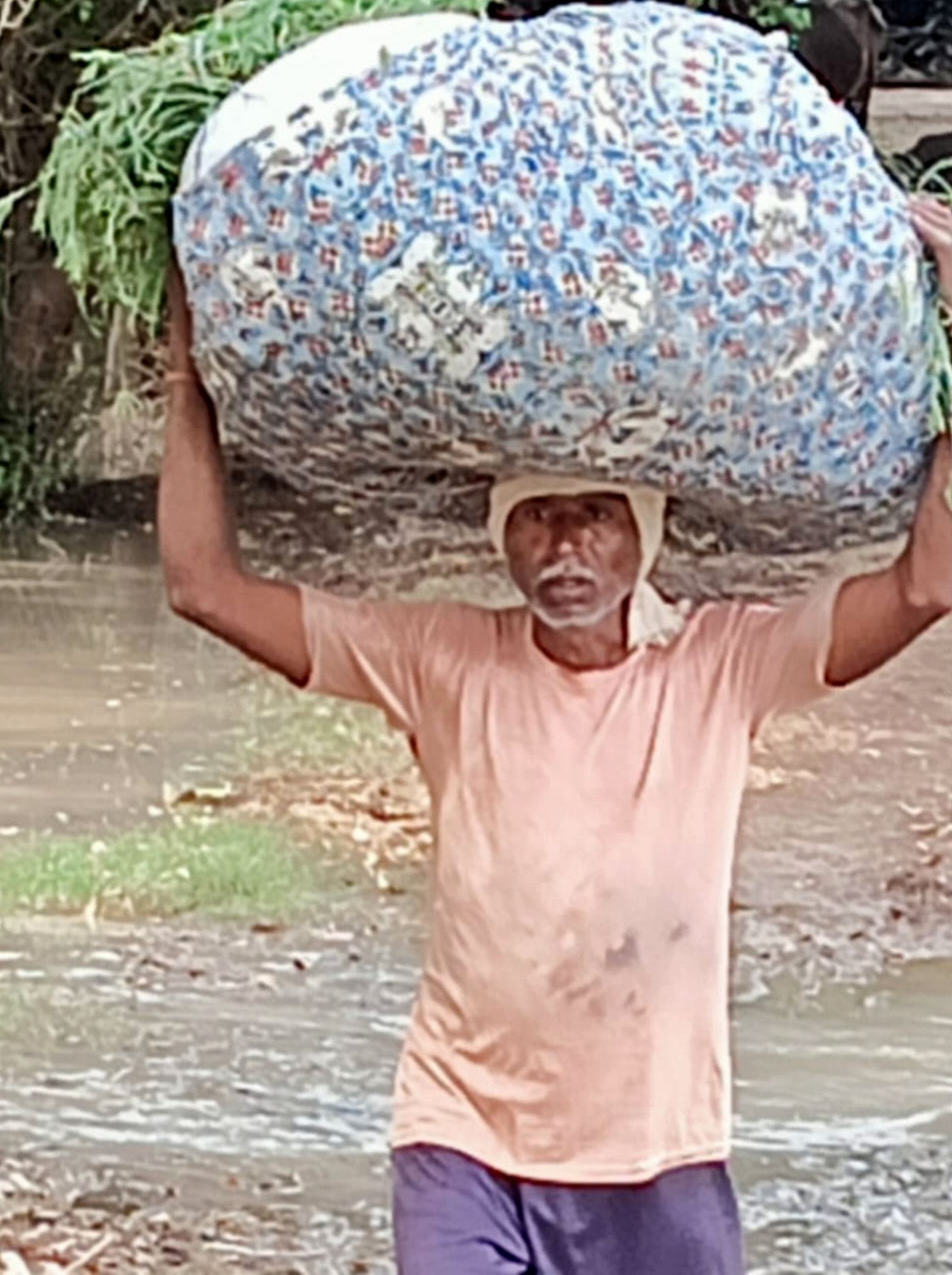 उसहैत के गांव बछौरा में हो रहा कटान। संवाद