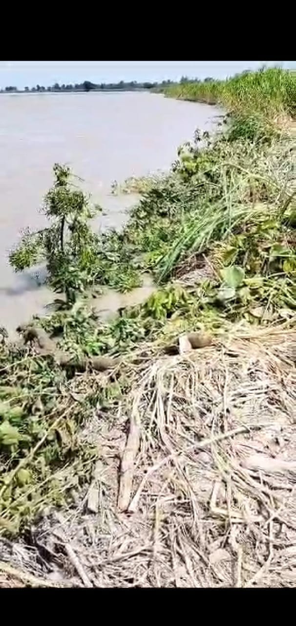 कटान रोकने कोे हजारा के समीप कार सेवा में जुटे ग्रामीण ।