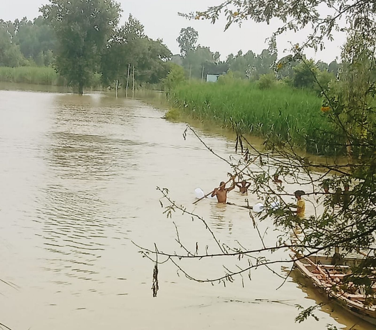 कौतल नगला में खेतों में भरा बाढ़ का पानी। संवाद
