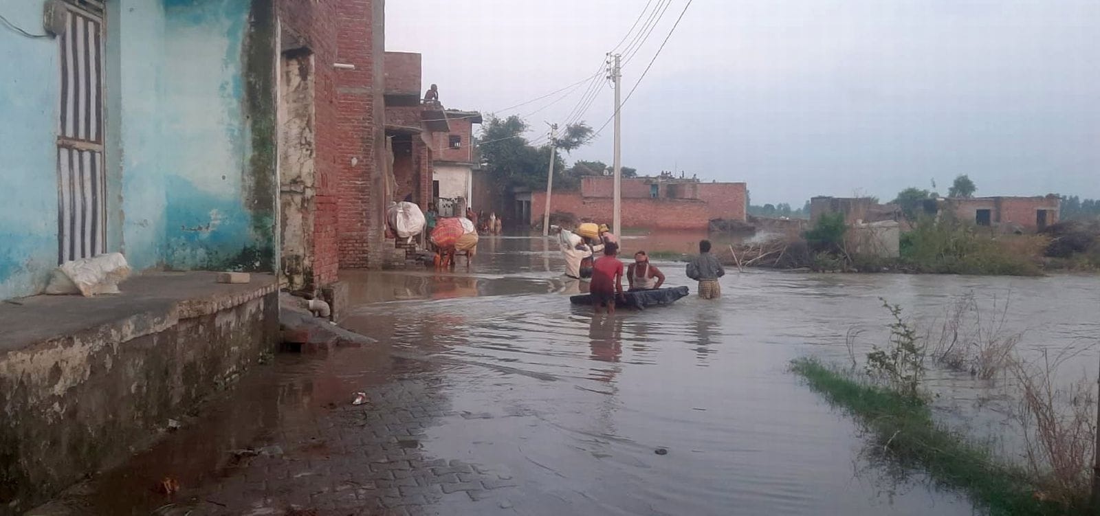 कौतल नगला में खेतों में भरा बाढ़ का पानी। संवाद