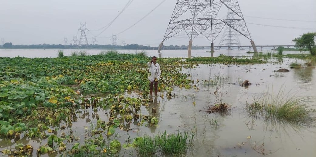 मानिकपुर में गंगा का जलस्तर बढ़ने खेत में भरा पानी। संवाद मानिकपुर में गंगा का जलस्तर बढ़ने खेत में भरा पानी। संवाद