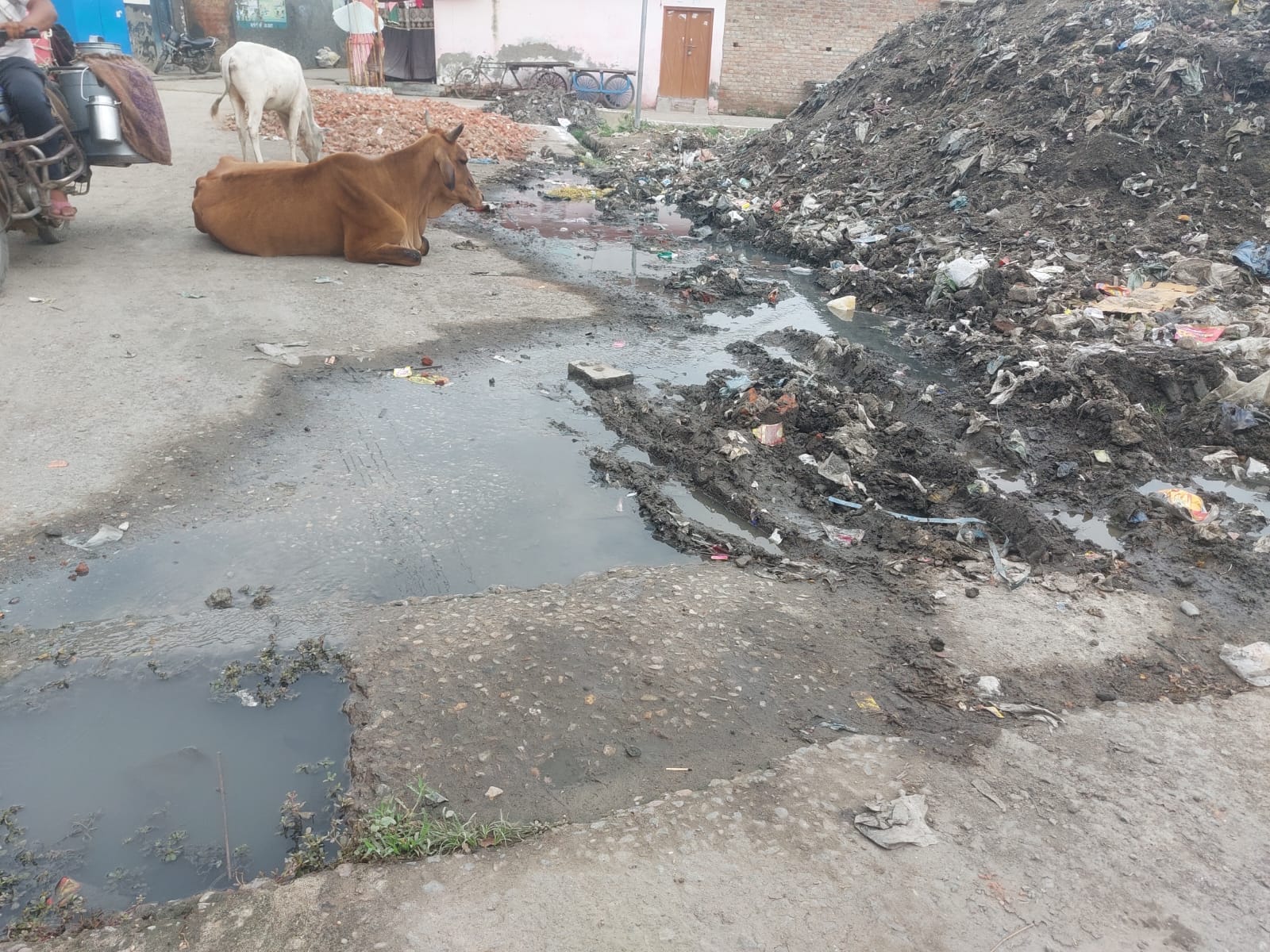 नौगवा पकड़िया में फैंली पडी गंदगी । संवाद