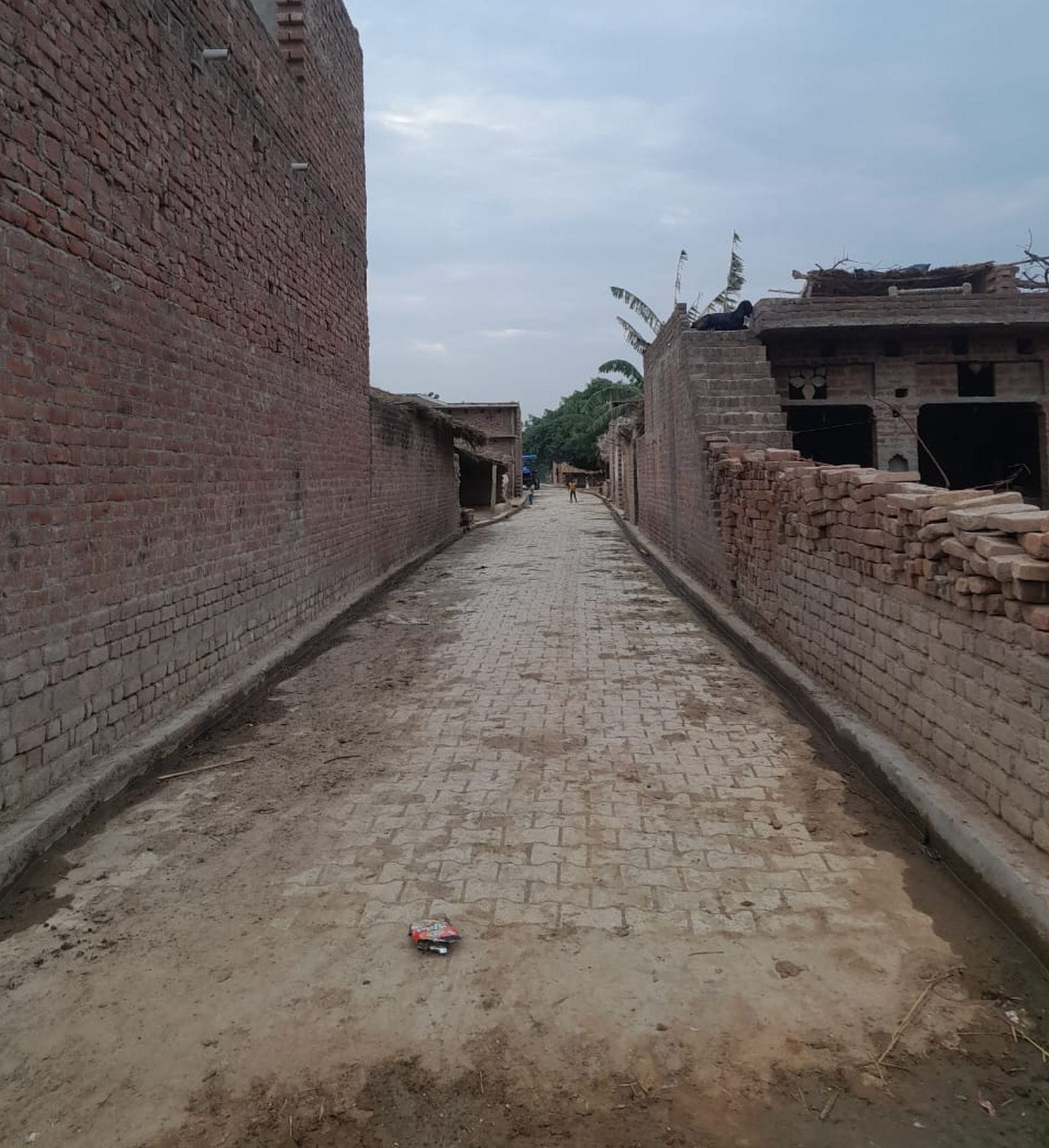 पीडीएफ।