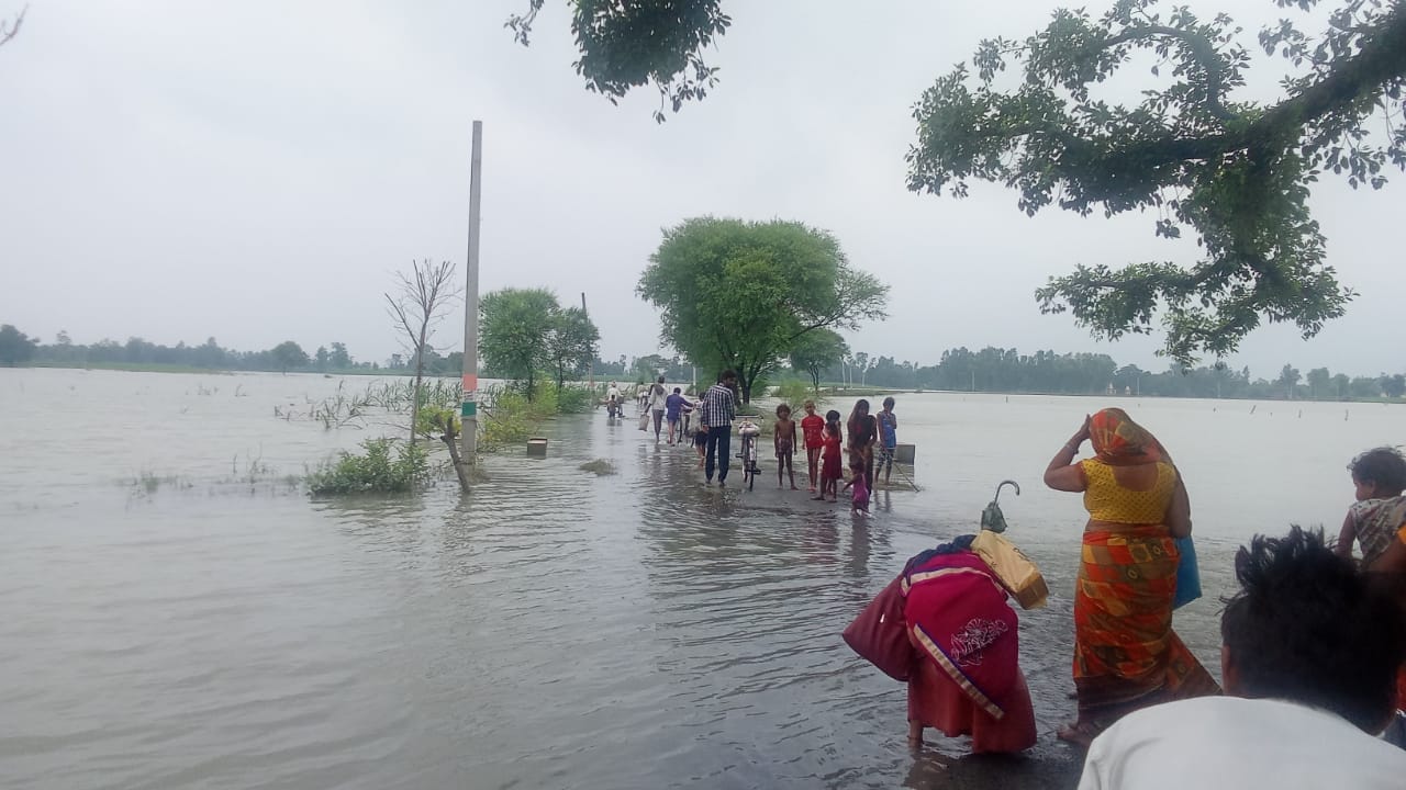 मिर्ज़ापुर के बाढ़ग्रस्त ग्राम मस्जिद नगला में कीचड़ के बीच तिरपाल के नीचे खाना बनाता एक परिवार। ब